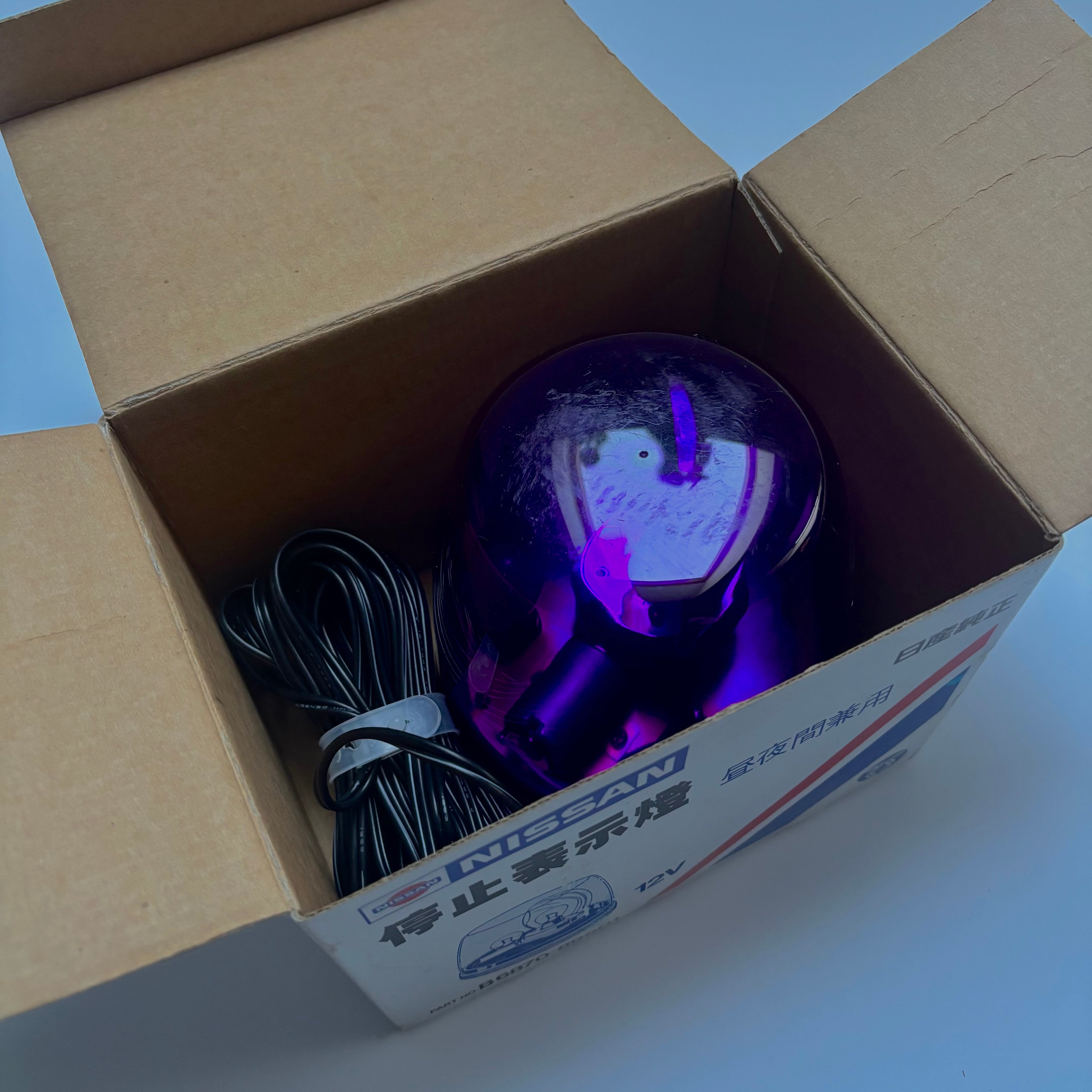 OEM Nissan Emergency Flashing Lamp