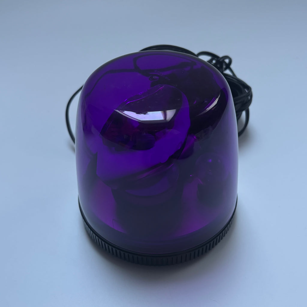 OEM Nissan Emergency Flashing Lamp