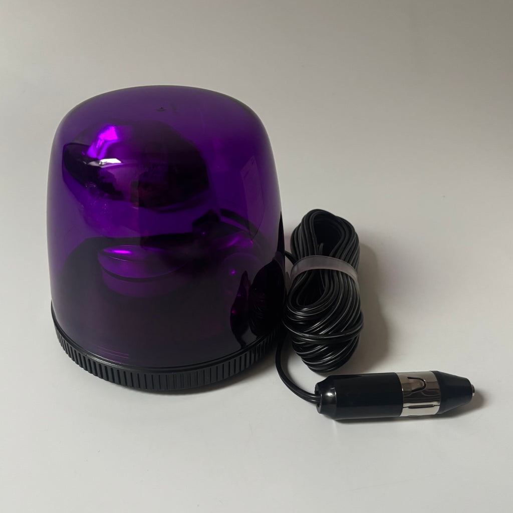 OEM Nissan Emergency Flashing Lamp