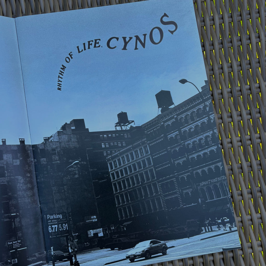 Toyota Cynos Brochure + Packages Pamphlet