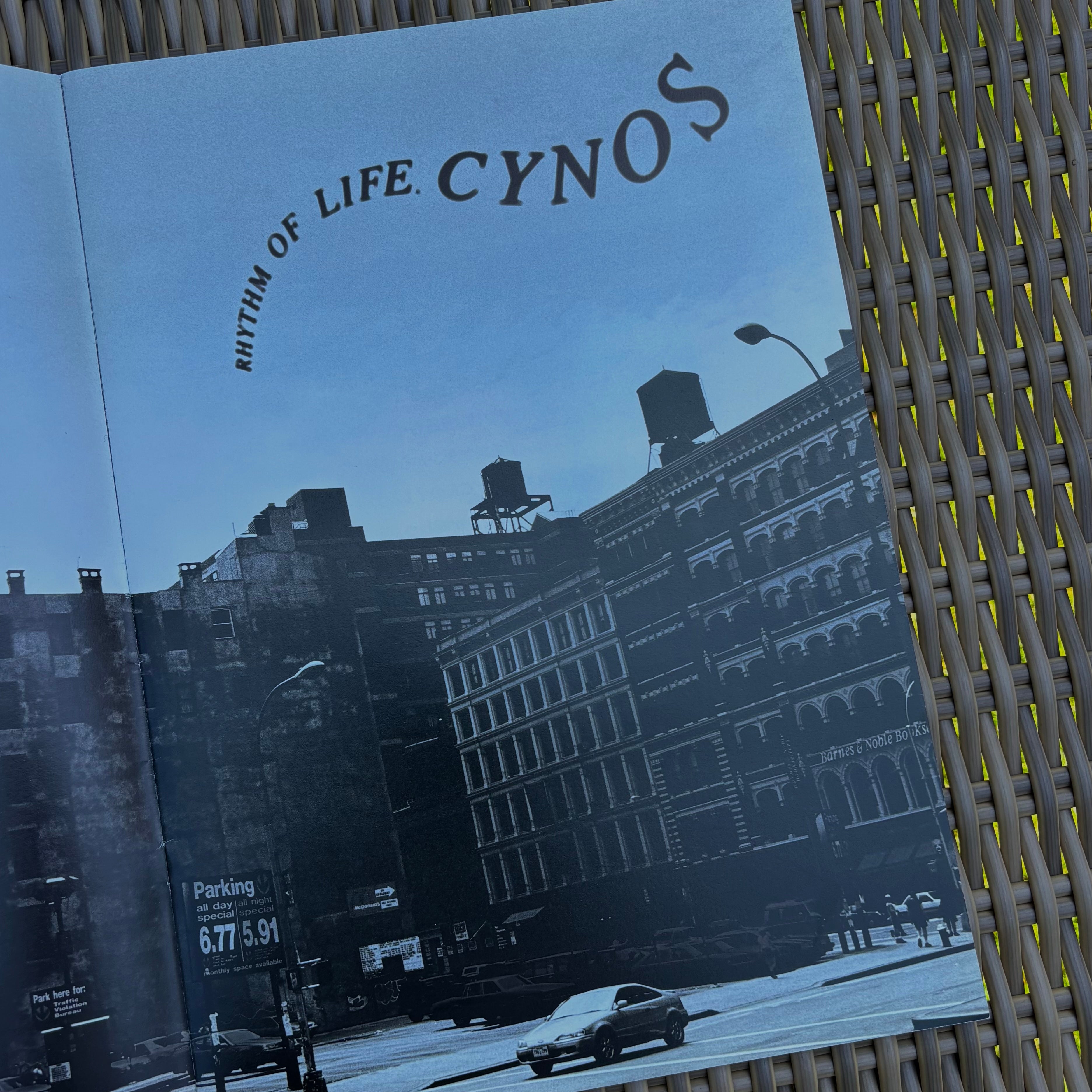Toyota Cynos Brochure + Packages Pamphlet