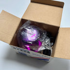 OEM Nissan Emergency Flashing Lamp