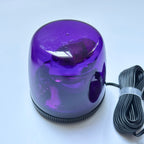 OEM Nissan Emergency Flashing Lamp