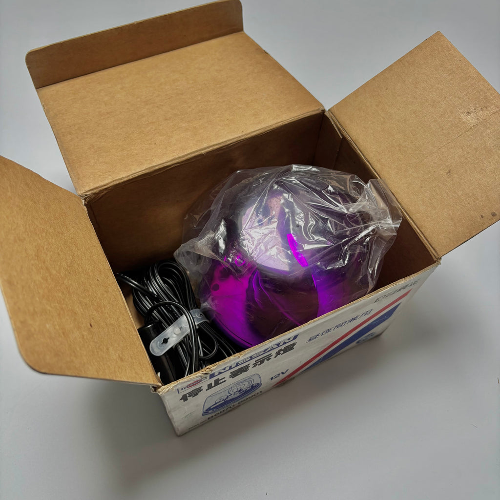 OEM Nissan Emergency Flashing Lamp