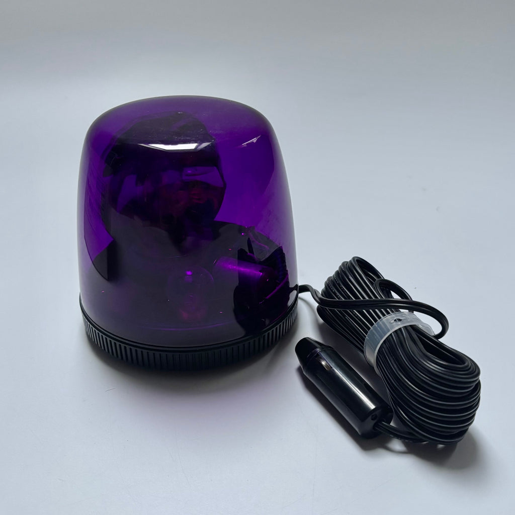 OEM Nissan Emergency Flashing Lamp