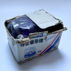 OEM Nissan Emergency Flashing Lamp