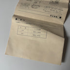 OEM Toyota Warning Flasher