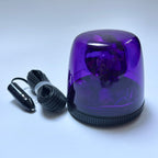 OEM Nissan Emergency Flashing Lamp