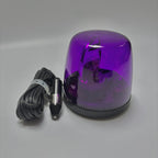 OEM Nissan Emergency Flashing Lamp