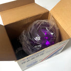 OEM Nissan Emergency Flashing Lamp