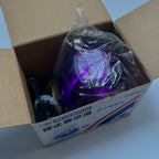 OEM Nissan Emergency Flashing Lamp