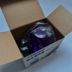 OEM Nissan Emergency Flashing Lamp