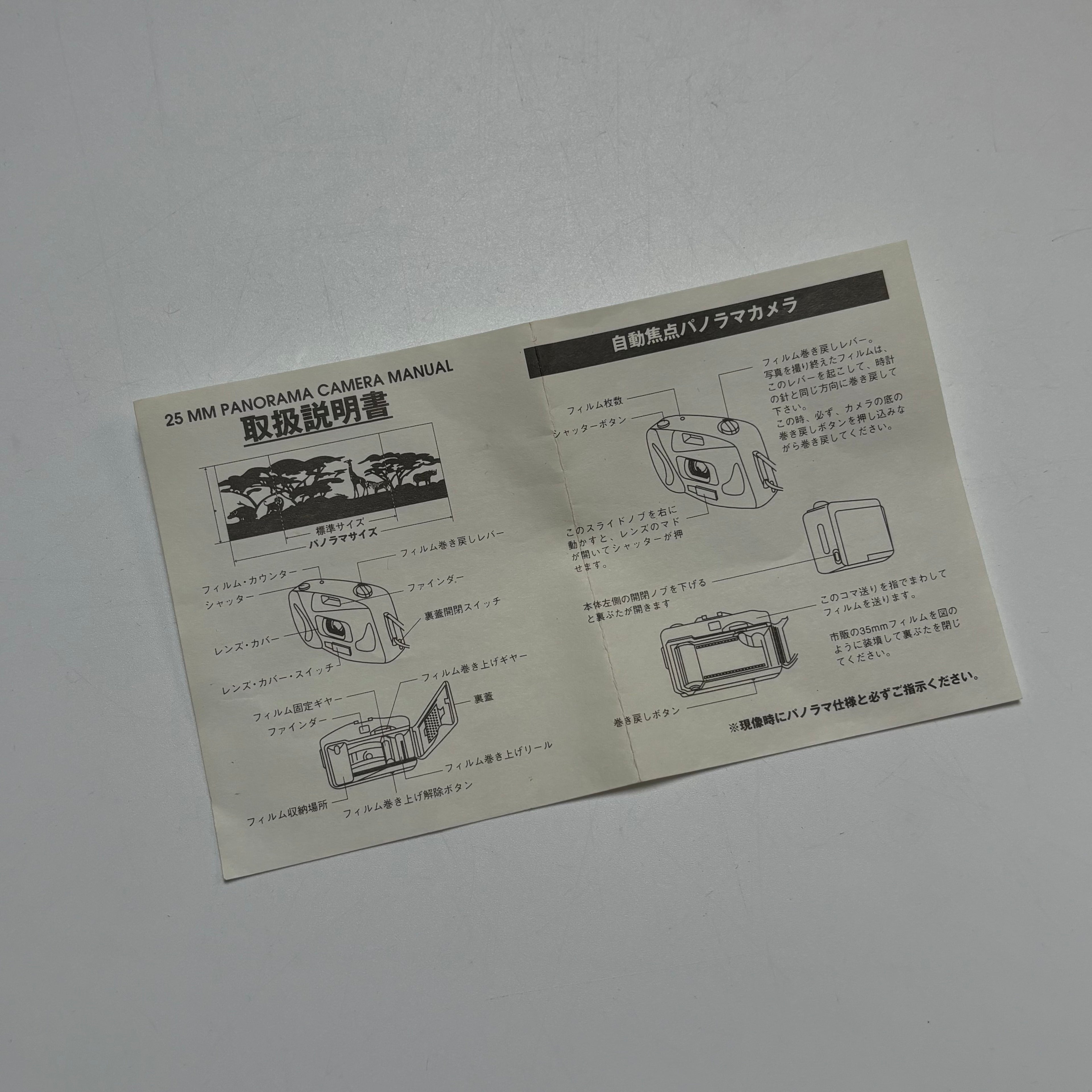 Toyota Panorama Film Camera